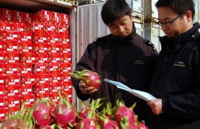 關(guān)于食品進(jìn)口報(bào)關(guān)你應(yīng)該知道的幾點(diǎn)知識